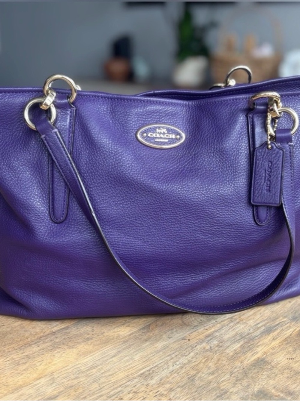 Coach Chicago Ellis Pebbled Leather Tote Bag with Gold Hardware